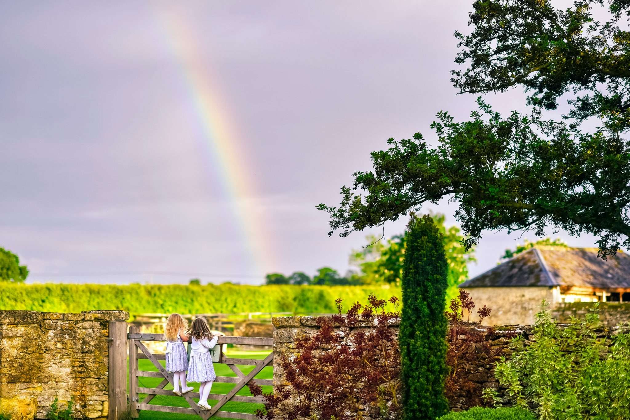View from a person using online therapy in rural Australia, highlighting accessible, flexible, and private mental health support for remote communities.